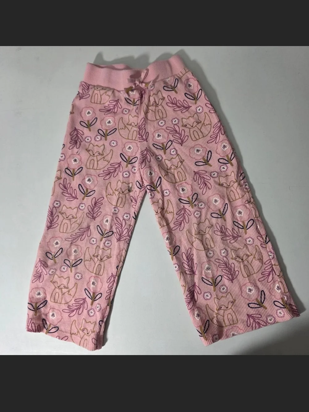Garanimals Pink Fox & Floral Two-Piece Set